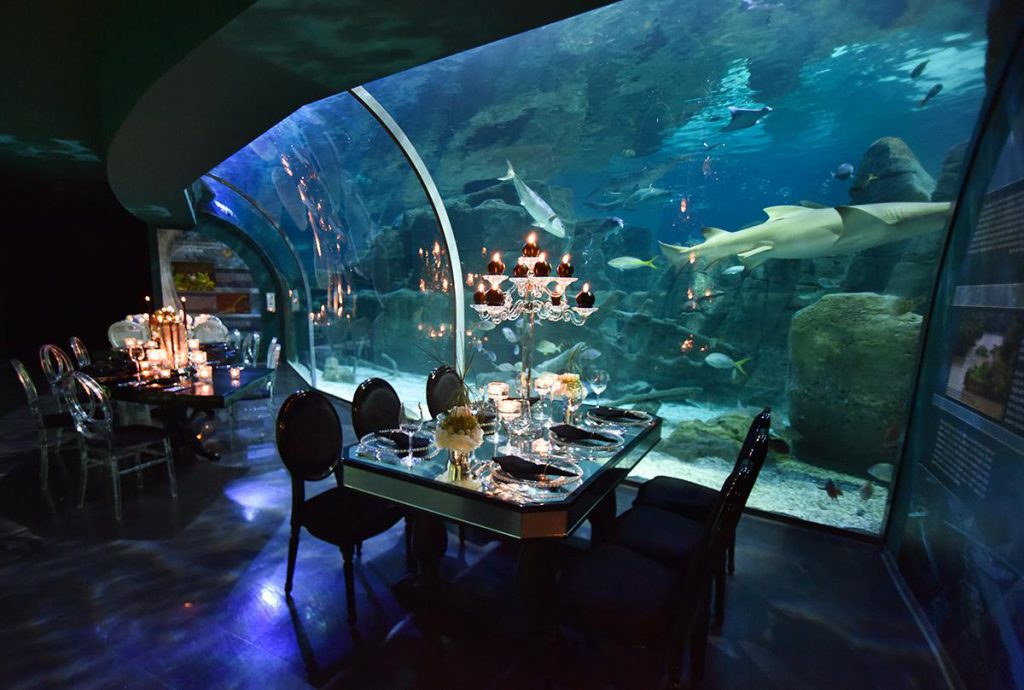 aquarium istanbul istanbul akvaryum shivar travel